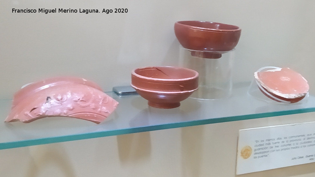 Historia de Carmona - Historia de Carmona. Terra sigillata. Museo del Alc�zar de la Puerta de Sevilla