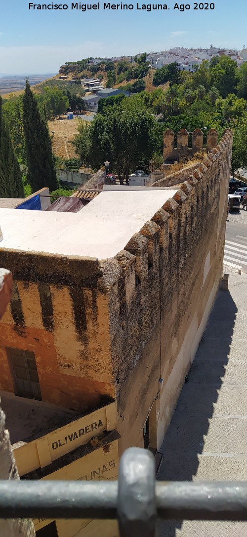 Muralla de Carmona - Muralla de Carmona. Desde el Alc�zar de la Puerta de Sevilla