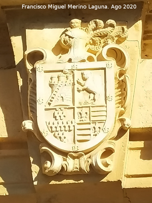 Palacio de los Lasso - Palacio de los Lasso. Escudo de los Lasso