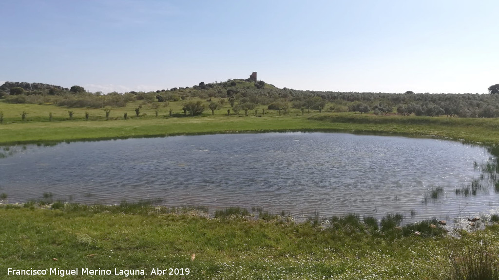 Laguna del Pizorro - Laguna del Pizorro. 