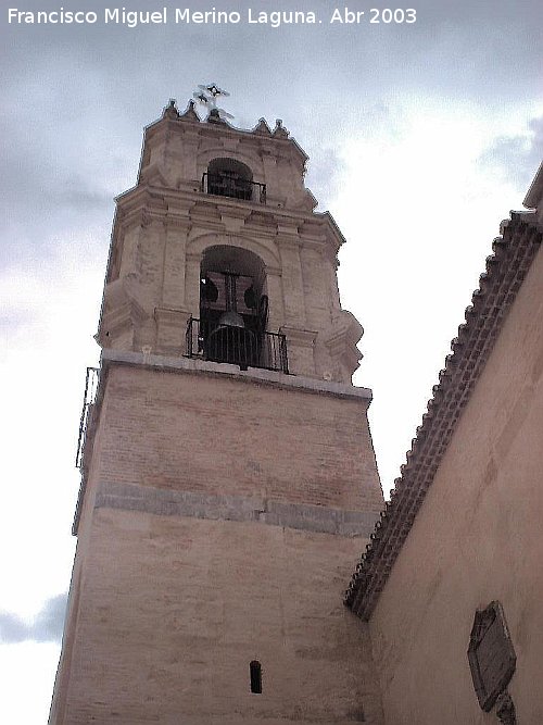Iglesia de Santa Mara la Mayor - Iglesia de Santa Mara la Mayor. Torre