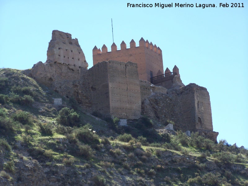 Castillo de Tabernas - Castillo de Tabernas. 