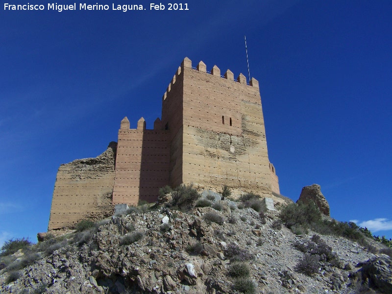 Castillo de Tabernas - Castillo de Tabernas. Torre del Homenaje