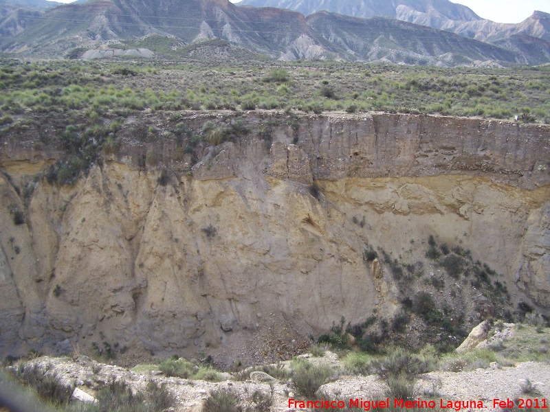 Desierto de Tabernas - Desierto de Tabernas. Rambla