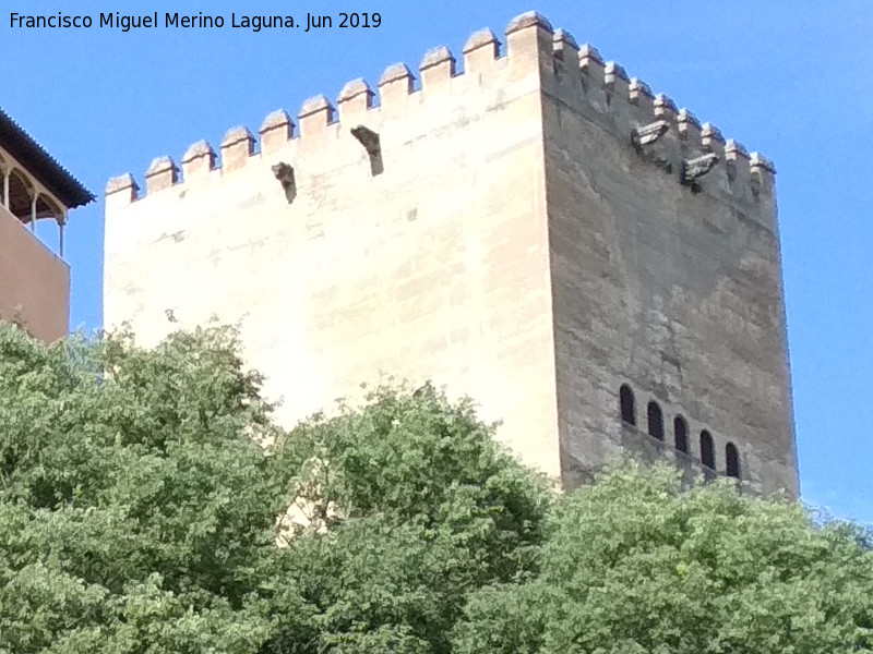 Alhambra. Torre de Comares - Alhambra. Torre de Comares. Desde el Molino del Rey Chico