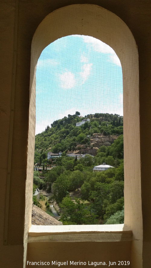 Generalife - Generalife. Desde la torre de la Iglesia de San Pedro y San Pablo