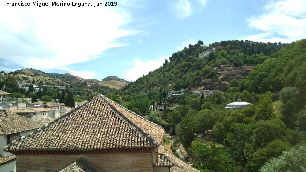 Iglesia de San Pedro y San Pablo - Iglesia de San Pedro y San Pablo. Vistas desde la torre