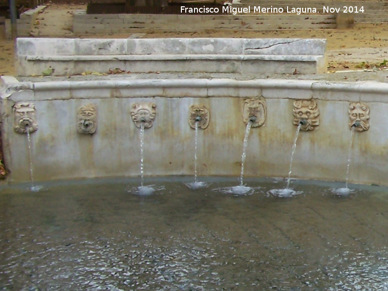 Fuente del Rey - Fuente del Rey. 