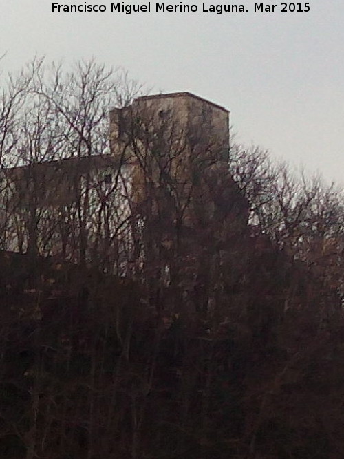 Castillo de los Condes de Cabra - Castillo de los Condes de Cabra. 