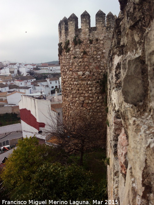 Murallas de Cabra - Murallas de Cabra. Torren circular