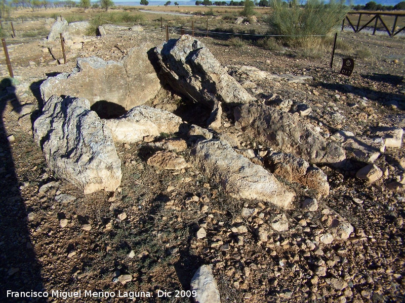 Dolmen 110 - Dolmen 110. 