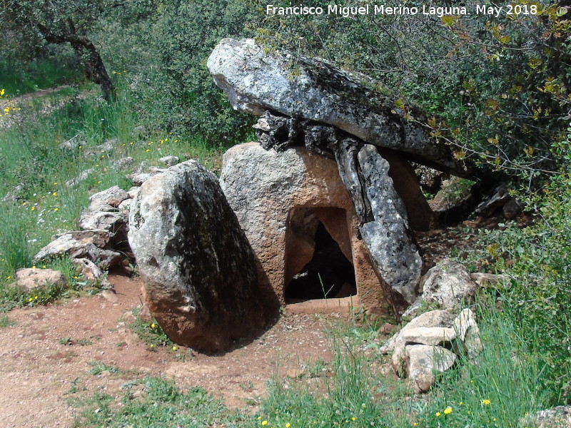 Necrpolis megaltica de Pea de los Gitanos - Necrpolis megaltica de Pea de los Gitanos. Dolmen de las Protuberancias