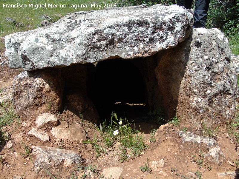 Necrpolis megaltica de Pea de los Gitanos - Necrpolis megaltica de Pea de los Gitanos. Dolmen de la Fosa