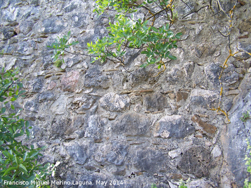 Castillo de las Peas de Castro - Castillo de las Peas de Castro. Detalle de la muralla construida con cermica y piedra