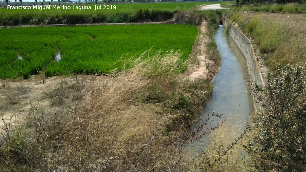 La Albufera - La Albufera. Canales