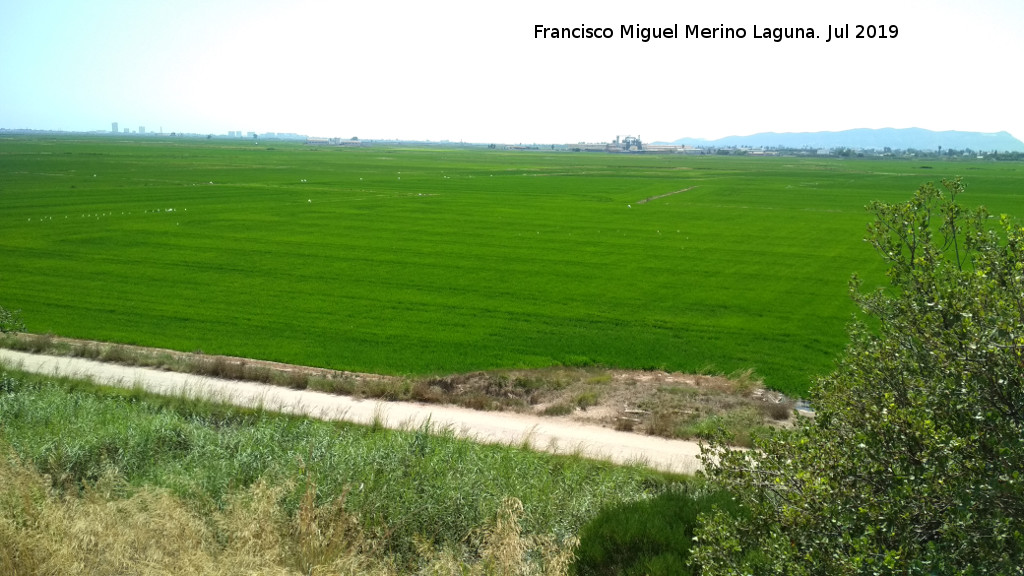 La Albufera - La Albufera. 