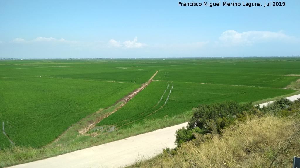 La Albufera - La Albufera. 