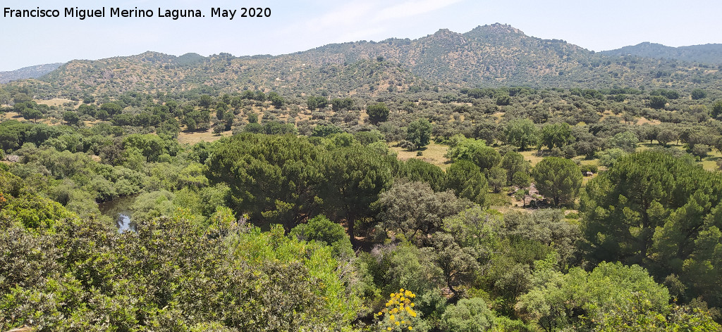 Provincia de Ja�n - Provincia de Ja�n. Sierra Morena desde el Encinarejo
