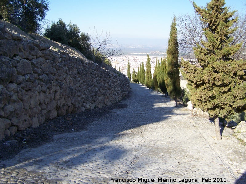 Antiguo Camino de Santa Ana - Antiguo Camino de Santa Ana. 