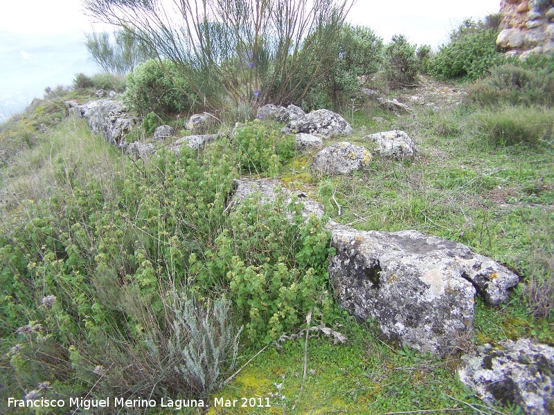 Oppidum del Cerro Algarrobo - Oppidum del Cerro Algarrobo. Muralla ciclpea