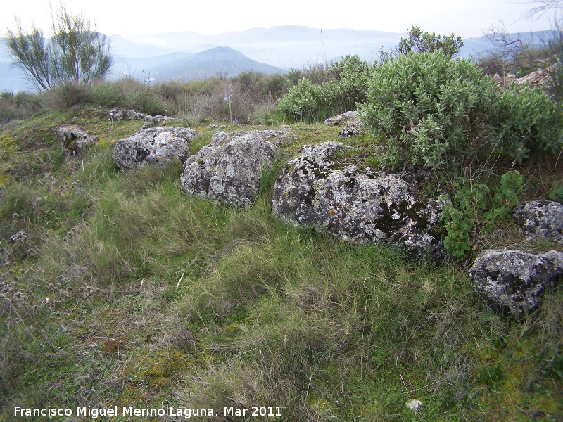 Oppidum del Cerro Algarrobo - Oppidum del Cerro Algarrobo. Muralla ciclpea