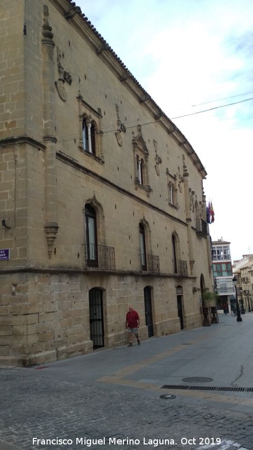 Palacio de los Salcedo - Palacio de los Salcedo. 
