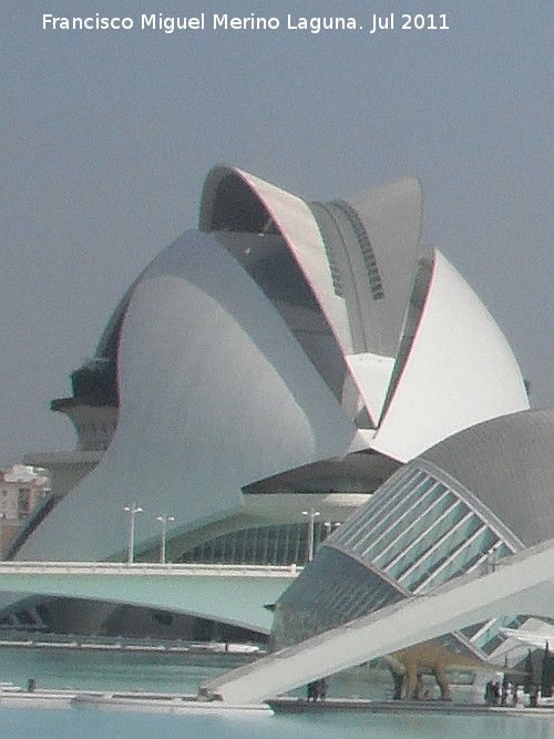 Ciudad de las Artes y las Ciencias. Palacio de las Artes Reina Sofa - Ciudad de las Artes y las Ciencias. Palacio de las Artes Reina Sofa. 