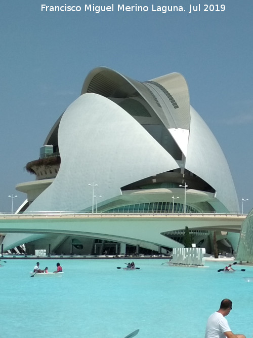 Ciudad de las Artes y las Ciencias. Palacio de las Artes Reina Sofa - Ciudad de las Artes y las Ciencias. Palacio de las Artes Reina Sofa. 