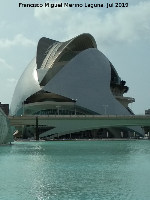 Ciudad de las Artes y las Ciencias. Palacio de las Artes Reina Sofa - Ciudad de las Artes y las Ciencias. Palacio de las Artes Reina Sofa. 