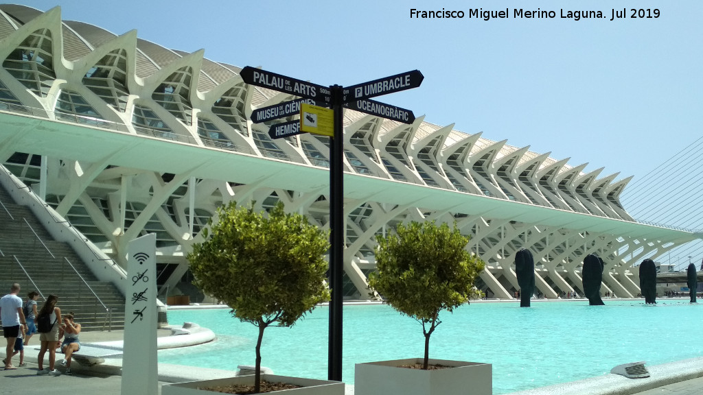 Ciudad de las Artes y las Ciencias. Museo de las Ciencias Prncipe Felipe - Ciudad de las Artes y las Ciencias. Museo de las Ciencias Prncipe Felipe. 