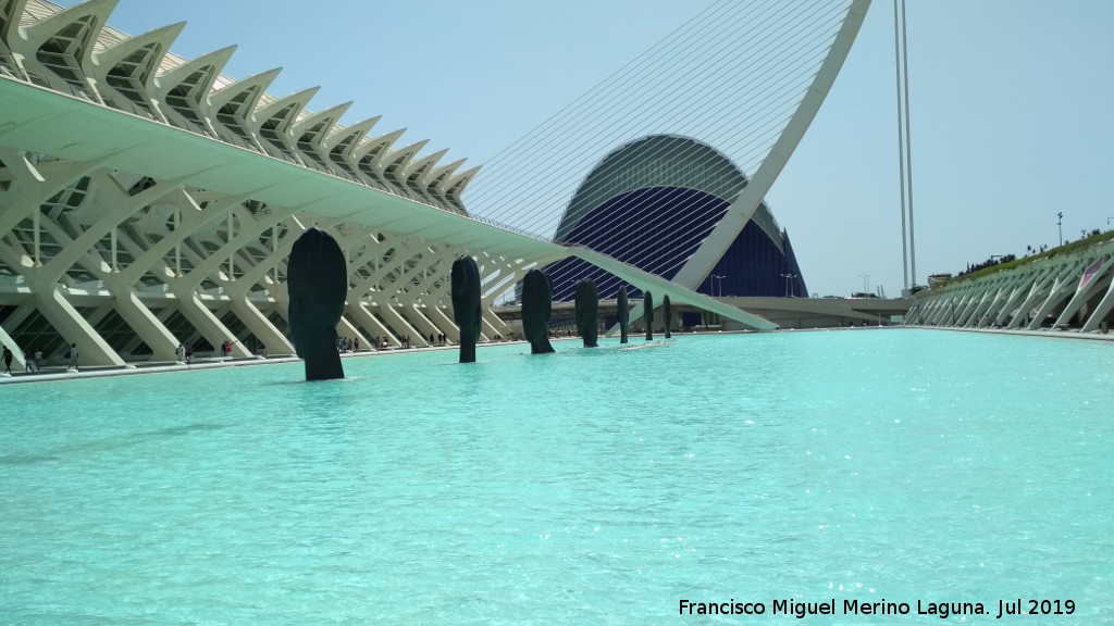 Ciudad de las Artes y las Ciencias. Museo de las Ciencias Prncipe Felipe - Ciudad de las Artes y las Ciencias. Museo de las Ciencias Prncipe Felipe. Estanque