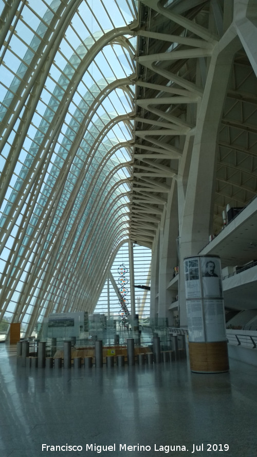 Ciudad de las Artes y las Ciencias. Museo de las Ciencias Prncipe Felipe - Ciudad de las Artes y las Ciencias. Museo de las Ciencias Prncipe Felipe. Interior