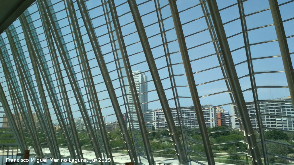 Ciudad de las Artes y las Ciencias. Museo de las Ciencias Prncipe Felipe - Ciudad de las Artes y las Ciencias. Museo de las Ciencias Prncipe Felipe. 