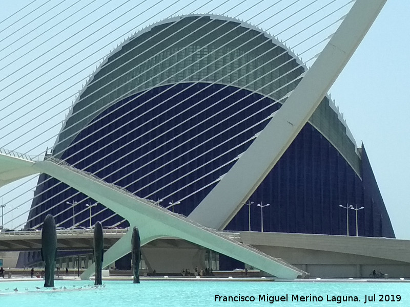 Ciudad de las Artes y las Ciencias. gora - Ciudad de las Artes y las Ciencias. gora. 