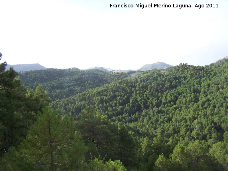 Loma del Pinar de Saucar - Loma del Pinar de Saucar. 