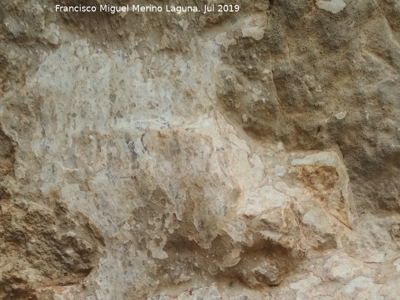 Pinturas rupestres del Abrigo I de la Pedriza. Grupo II - Pinturas rupestres del Abrigo I de la Pedriza. Grupo II. 