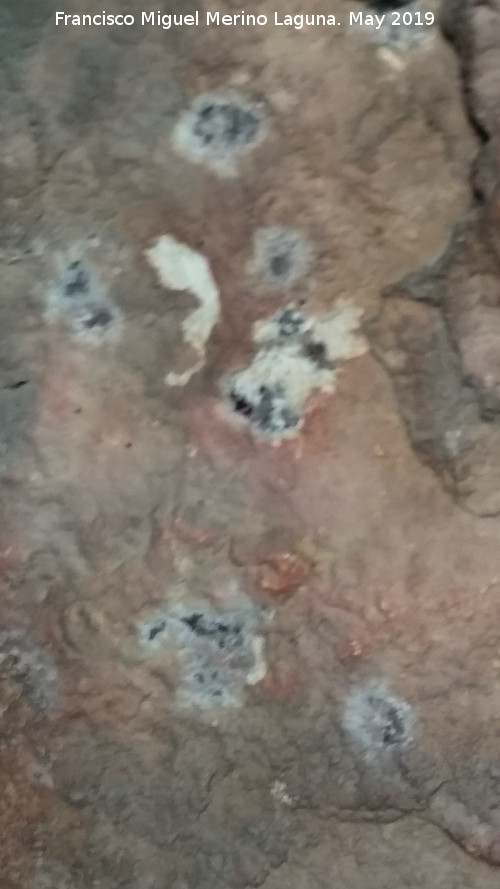 Pinturas rupestres de la Oquedad Oeste del Canjorro - Pinturas rupestres de la Oquedad Oeste del Canjorro. 