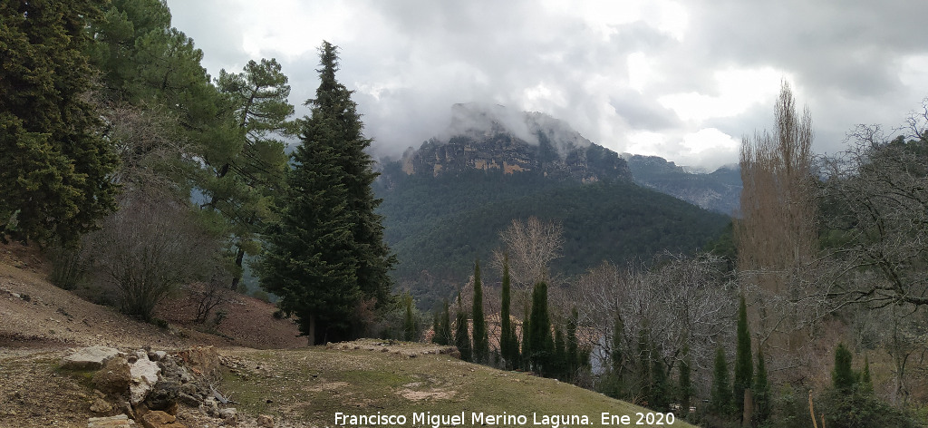 �rea recreativa Fuente del Oso - �rea recreativa Fuente del Oso. Vistas