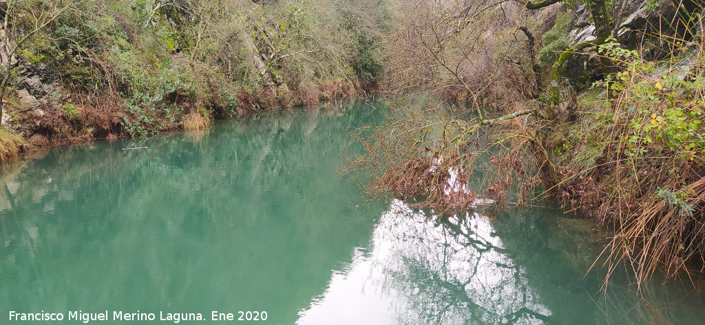 R�o Guadalquivir - R�o Guadalquivir. Pantaneta de la Cerrada de Utrero