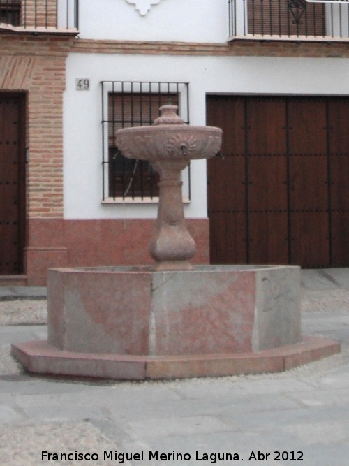 Fuente de San Miguel - Fuente de San Miguel. 