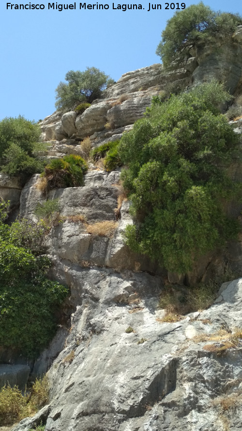 Sierra de Abdalajs - Sierra de Abdalajs. 