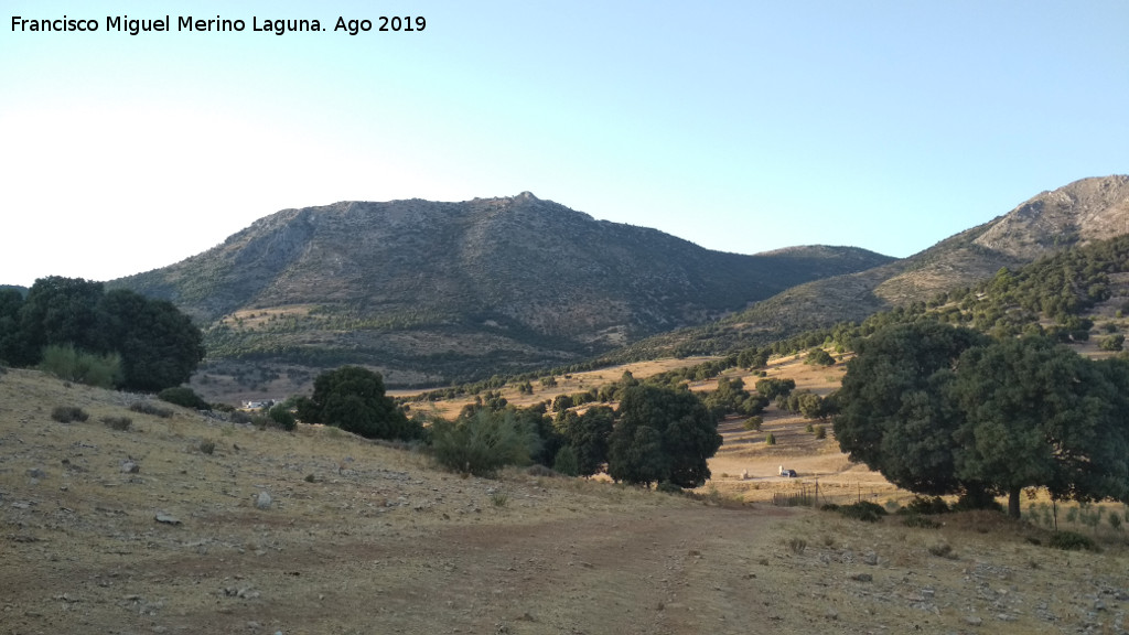 Llanos de Palomares - Llanos de Palomares. Al fondo el Grajales