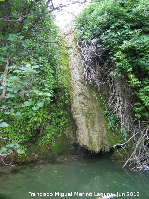 Cascada de la Corregidora - Cascada de la Corregidora. 
