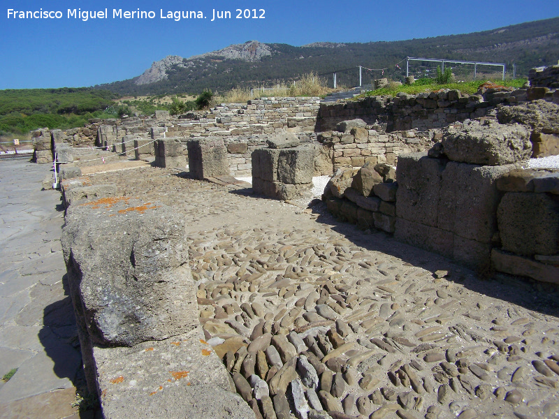 Baelo Claudia. Tabernae del Decumanus Maximus - Baelo Claudia. Tabernae del Decumanus Maximus. Prticos