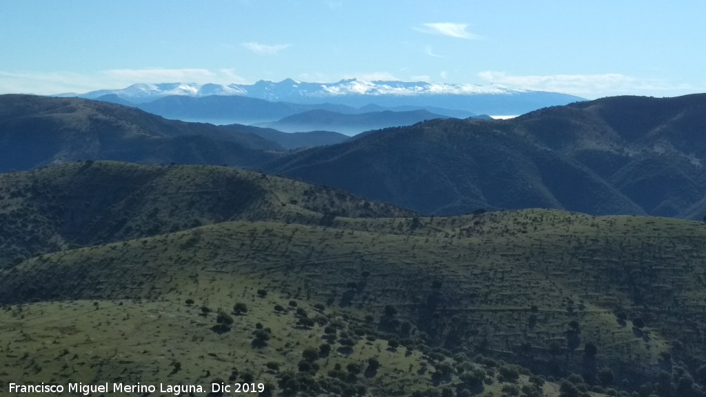 Cerro Los Morales - Cerro Los Morales. Vistas hacia Sierra Nevada