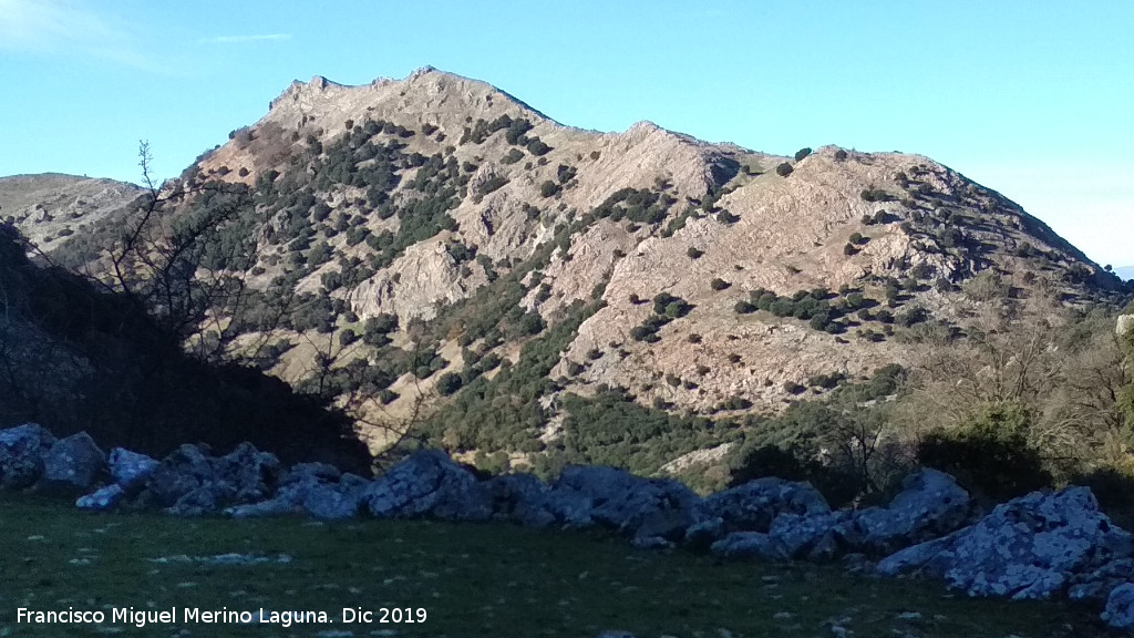 Cerro del Hoyo - Cerro del Hoyo. Desde la Era de los Habares