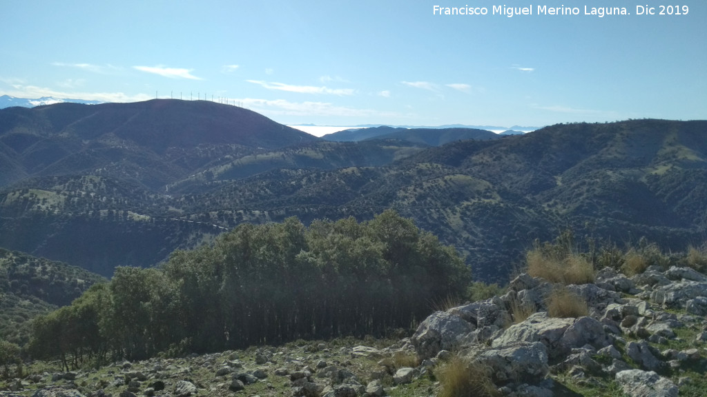 Lomas de Carboneros - Lomas de Carboneros. Vistas hacia el sur