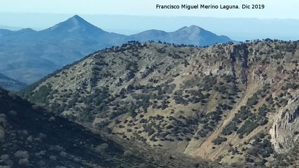 Cerro La Solana - Cerro La Solana. Desde el Cerro El Tejuelo