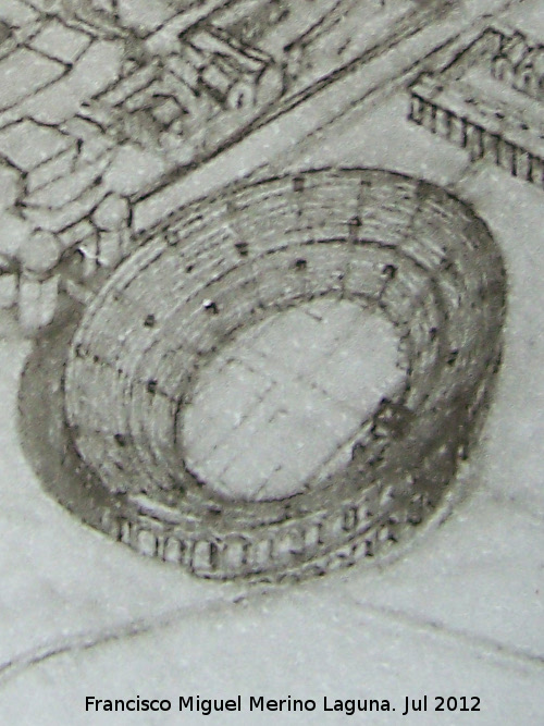Anfiteatro Romano - Anfiteatro Romano. Dibujo
