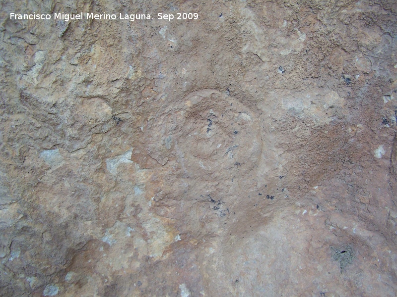 Petroglifos rupestres de El Toril - Petroglifos rupestres de El Toril. Crculos del abrigo izquierdo